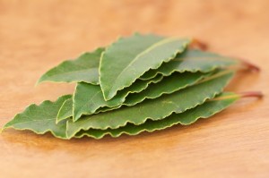 3. Bay leaf powder